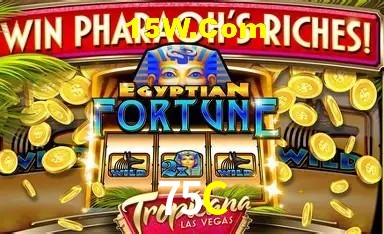 Provedores de Jogos 75C